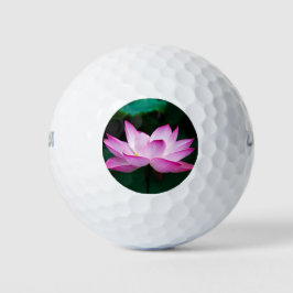 Pelotas De Golf Flor rosa Lotus