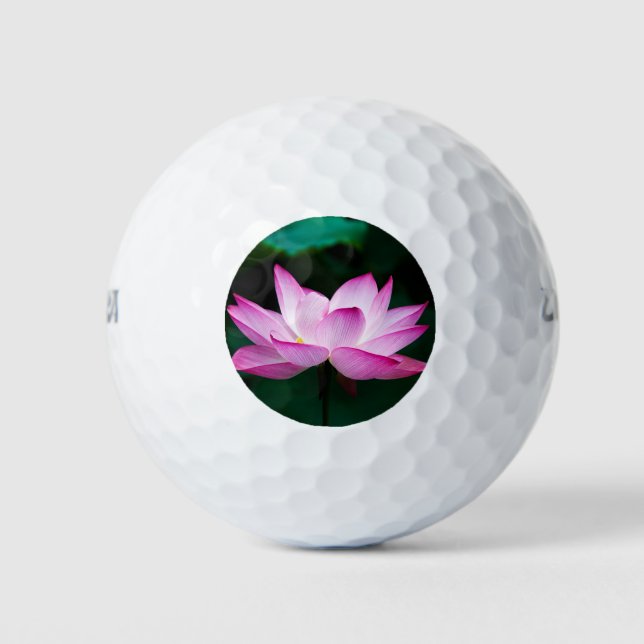 Pelotas De Golf Flor rosa Lotus (Anverso)