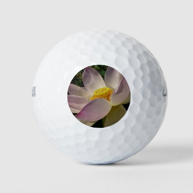 Pelotas De Golf Flor rosa Lotus III flor de verano (Anverso)