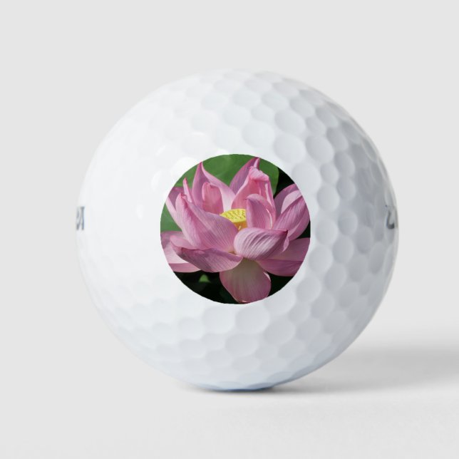 Pelotas De Golf Flor rosa Lotus IV (Anverso)