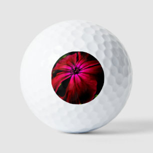 Pelotas De Golf Flor salvaje púrpura va gbcnm