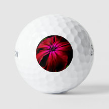 Flor violeta sf gbcna