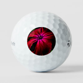 Pelotas De Golf Flor violeta tmtp5 gbcna