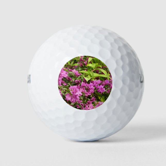 Pelotas De Golf Floral Tropical Morada Bougainvillea (Anverso)