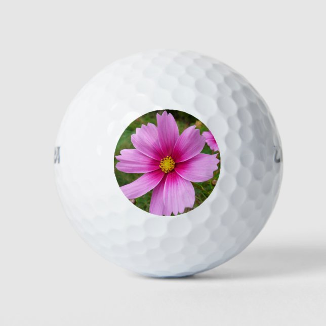 Pelotas De Golf Flores Cosmos rosadas Flores silvestres (Anverso)