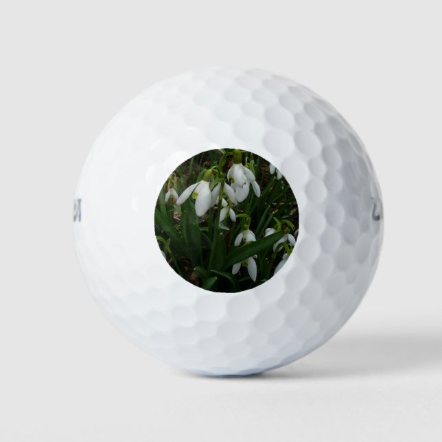 Pelotas De Golf Flores de Primavera Blanca (Galanthus) (Anverso)