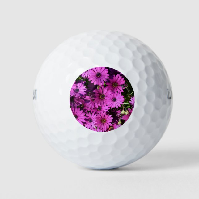Pelotas De Golf Flores púrpura de osteospermum (Anverso)