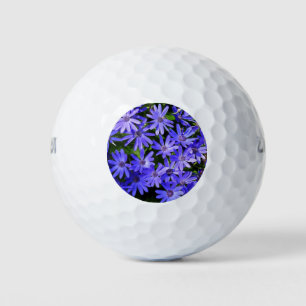 Pelotas De Golf Flores tipo margarita azul fotografía de la natura