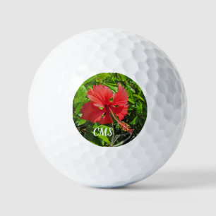 Pelotas De Golf Flores tropicales: floral de la isla rosa brillant