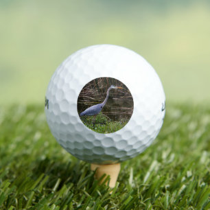 Pelotas De Golf Foto de Bird Blue Heron