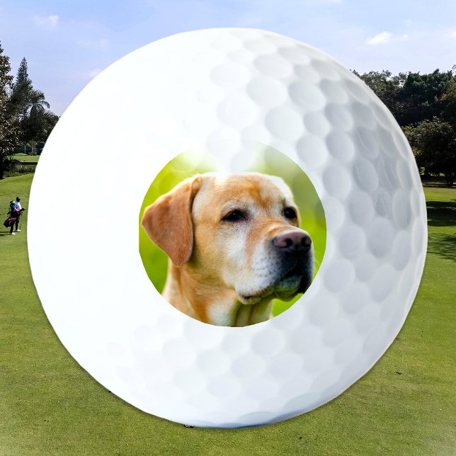 Pelotas De Golf Foto de gato de perro Mascota personalizado person (Subido por el creador)