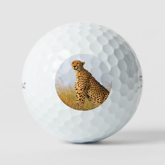 Pelotas De Golf Foto de gato grande de animales salvajes Cheetah (Anverso)