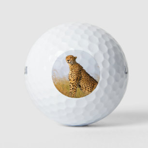 Pelotas De Golf Foto de gato grande de animales salvajes Cheetah