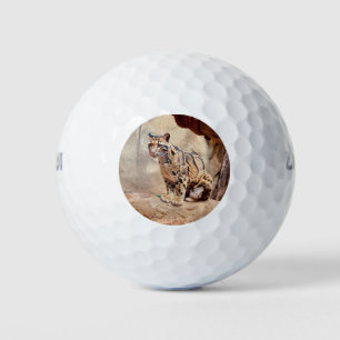 Pelotas De Golf foto de leopardo nebuloso naturaleza vida silvestr
