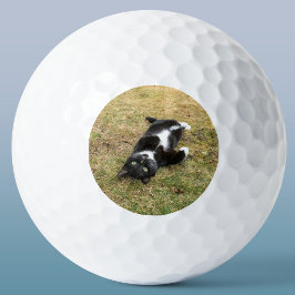 Pelotas De Golf Foto de Mascota personalizado Personalizada Modern