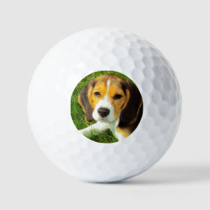Pelotas De Golf Foto de perro Beagle, Mascota personalizado