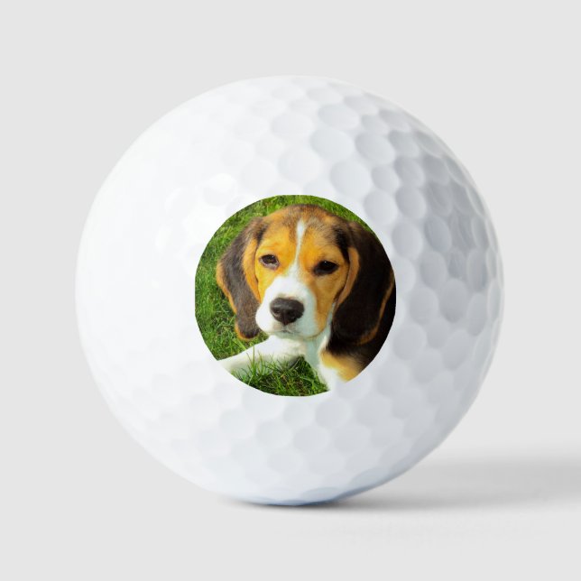 Pelotas De Golf Foto de perro Beagle, Mascota personalizado (Anverso)