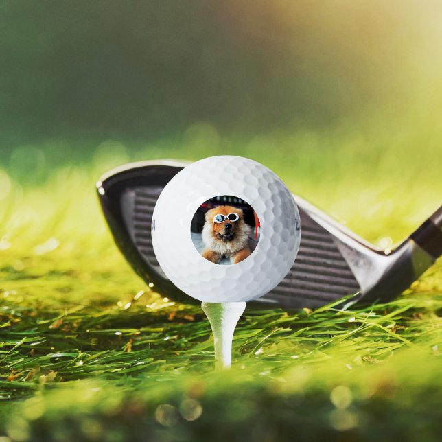 Pelotas De Golf Foto de perro Mascota personalizado (Subido por el creador)