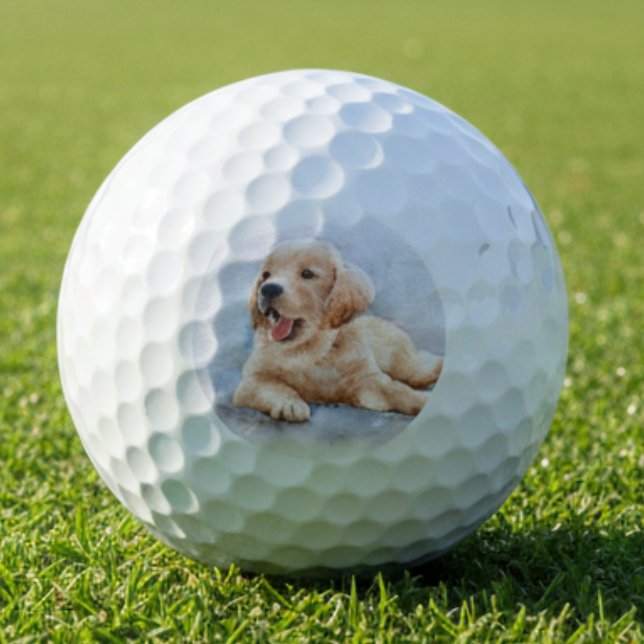 Pelotas De Golf Foto de perro personalizado (Subido por el creador)