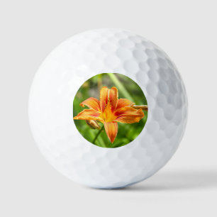 Pelotas De Golf Foto de una flor de Lily grande