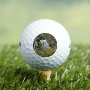 Pelotas De Golf Foto de Woodstork Florida Wetlands