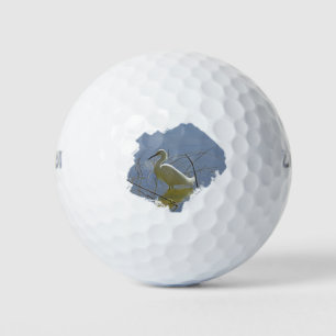 Pelotas De Golf Foto Egret Blanco Elegante Pájaro Calm Water Natur