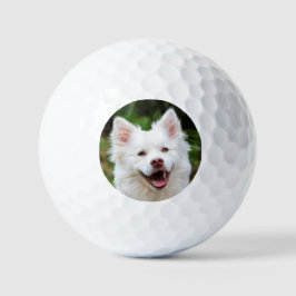 Pelotas De Golf Foto mascota personalizada