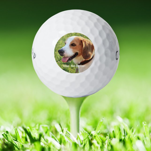 Pelotas De Golf Foto personalizada de perro de Beagle y nombre de  (Subido por el creador)