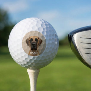 Pelotas De Golf Foto personalizada de perro Gran Danés