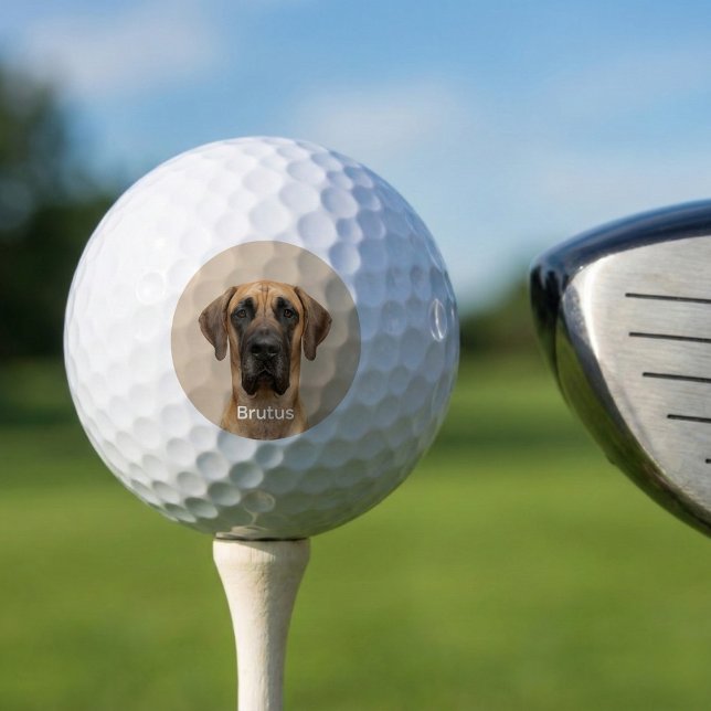 Pelotas De Golf Foto personalizada de perro Gran Danés (Custom Pet Dog Photo Great Dane Personalized Golf Balls.Great gift idea for golfer dad.)