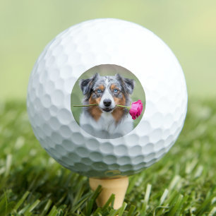 Pelotas De Golf Foto personalizada de perro mascota