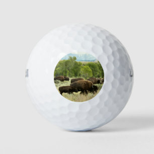 Pelotas De Golf Fotografía de animales de la naturaleza de Wyoming