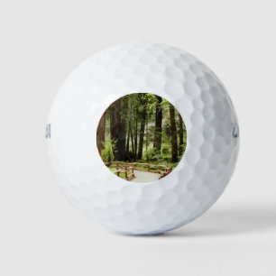 Pelotas De Golf Fotografía de la naturaleza de Muir Woods Path I
