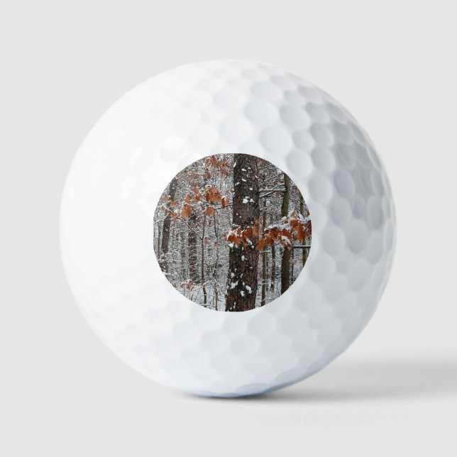 Pelotas De Golf Fotografía de naturaleza invernal de robles cubier (Anverso)
