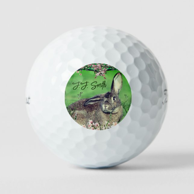 Pelotas De Golf Fun 12 Pack Hare Rabbit Animal personalizado (Anverso)