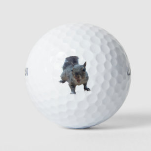 Pelotas De Golf Fun Cheeky Squirrel Golf Balls