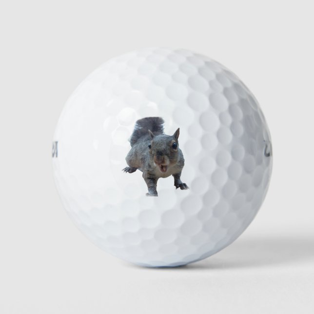 Pelotas De Golf Fun Cheeky Squirrel Golf Balls (Anverso)
