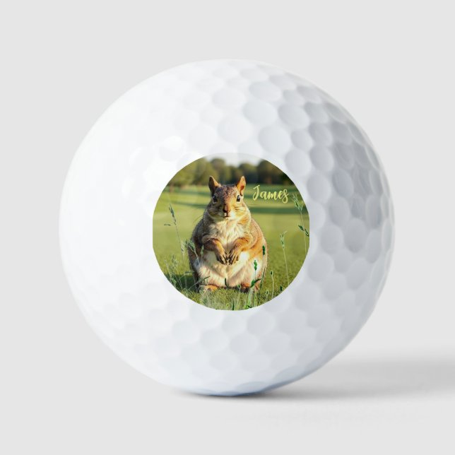 Pelotas De Golf Fun Fox Squirrel Golf Balls (Anverso)