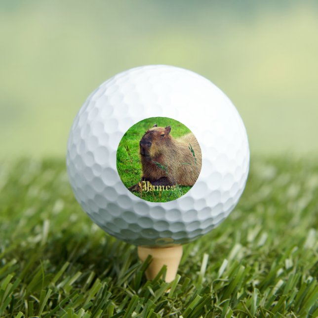 Pelotas De Golf Fun personal Capybara Animal (Camiseta in situ)