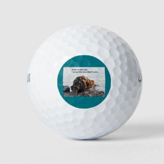 Pelotas De Golf Funny Beaver