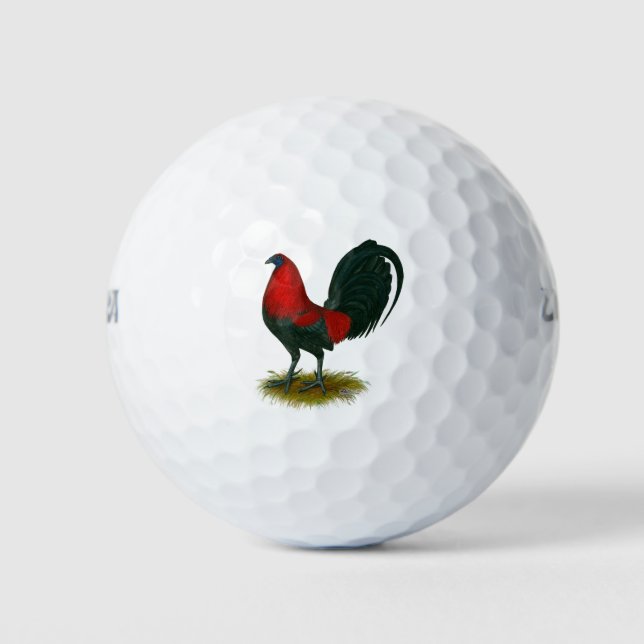 Pelotas De Golf Gallero Americano:  Pardo Rojo (Anverso)