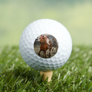 Pelotas De Golf Ganadores Thoroughbred Racehorse Underdog