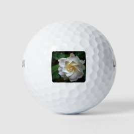Pelotas De Golf Gardenia blanca