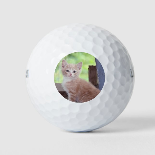 Pelotas De Golf Gatito (Anverso)