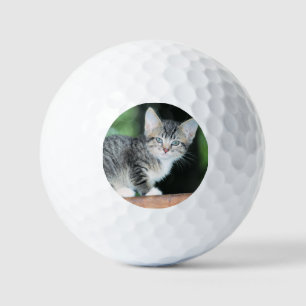 Pelotas De Golf Gatito