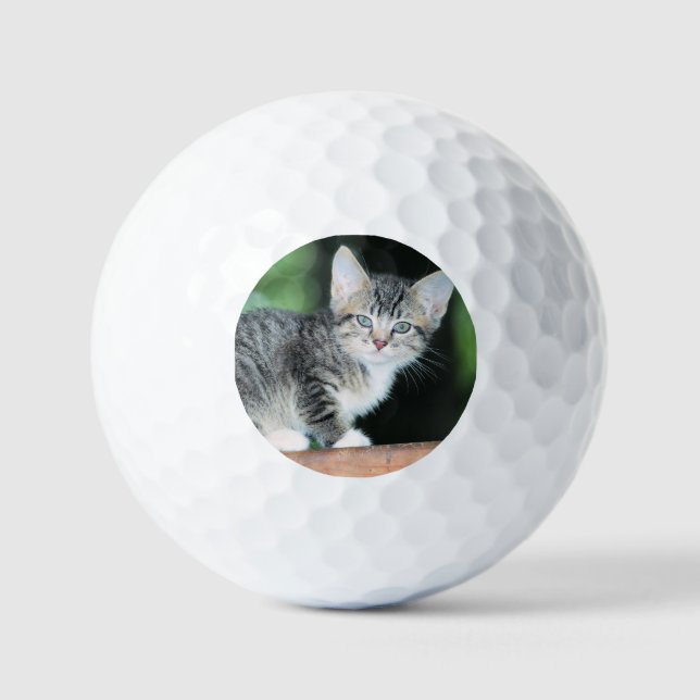 Pelotas De Golf Gatito (Anverso)
