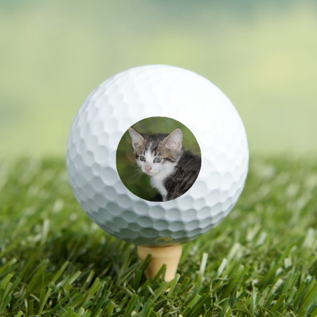 Pelotas De Golf Gatito (Camiseta in situ)