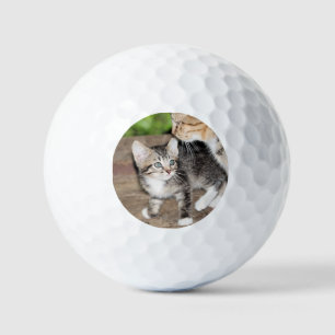 Pelotas De Golf Gatito