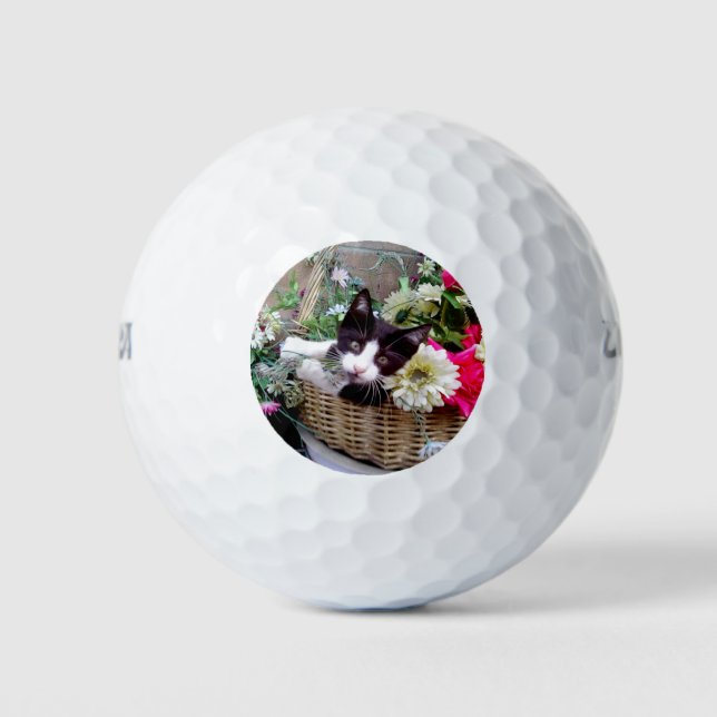 Pelotas De Golf Gatito en una cesta (Anverso)