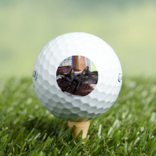 Pelotas De Golf Gatitos
